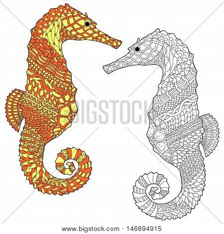 Hand drawn sea horse vector illustration. Anti stress coloring page zentangle art ethnic doodle pattern.