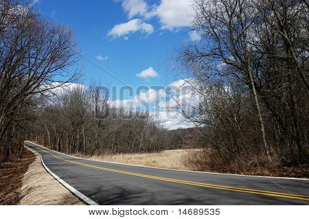 Winding Country Road