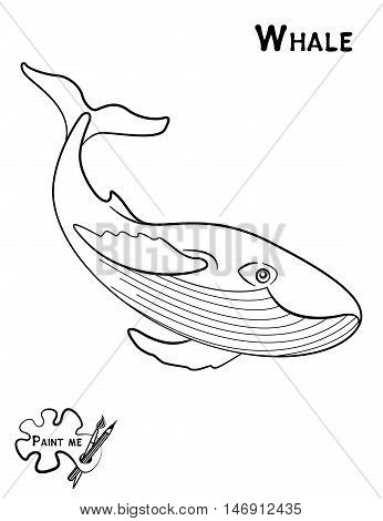 Children's coloring book that says Paint me. Sea life. Whale