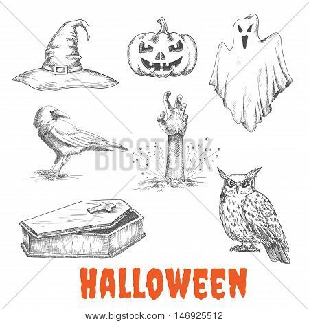 Vector sketched elements of Halloween celebration. Isolated witch hat, burning pumpkin with candles, bedsheet flying ghost, dead man hand from grave, raven crow, open vampire coffin, owl