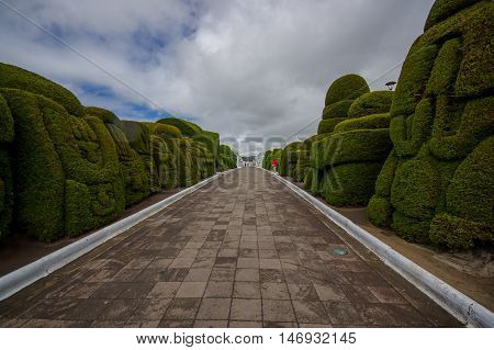 TULCAN, ECUADOR - JULY 3, 2016: people visiting the cemetery and taking pictures of the topiary garden.