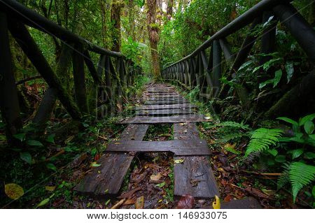 PASTO, COLOMBIA - JULY 3, 2016: wood steps path located in la cotora, small island in la cocha lake.
