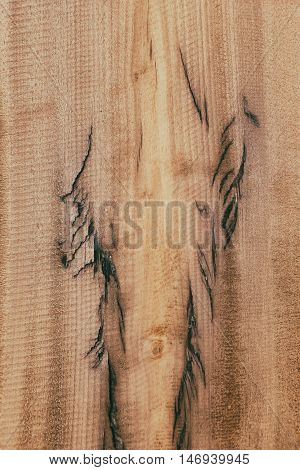 Wood Texture. /  Old wood pattern / use forl background