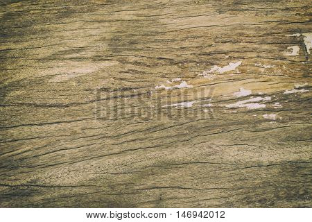 Wood Texture. /  Old wood pattern / use forl background
