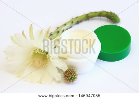 Face and body cream decorated with tender cactus flower and the same kind of rough cactus plant on white