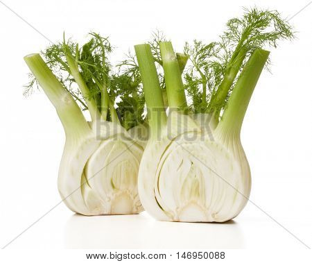 Fresh fennel bulb isolated on white background close up