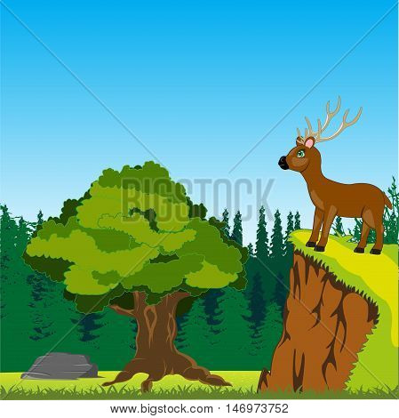 The Animal deer on peak of the mountain in wood.Vector illustration