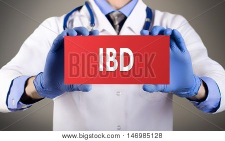 Doctor's hands in blue gloves shows the word ibd (inflammatory bowel disease). Medical concept.