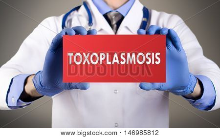 Doctor's hands in blue gloves shows the word toxoplasmosis. Medical concept.