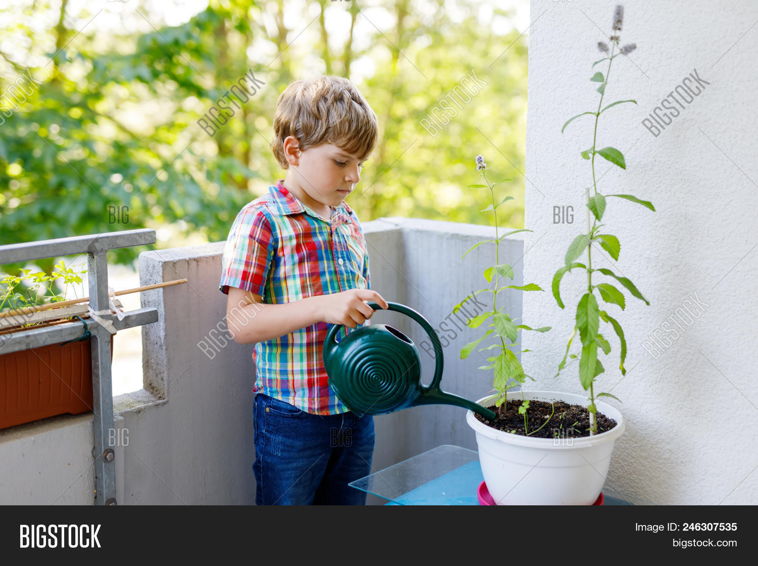 Active Little Image Photo Free Trial Stock Active Little Preschool Kid Boy Watering Plants With Water Can At Home On Balcony