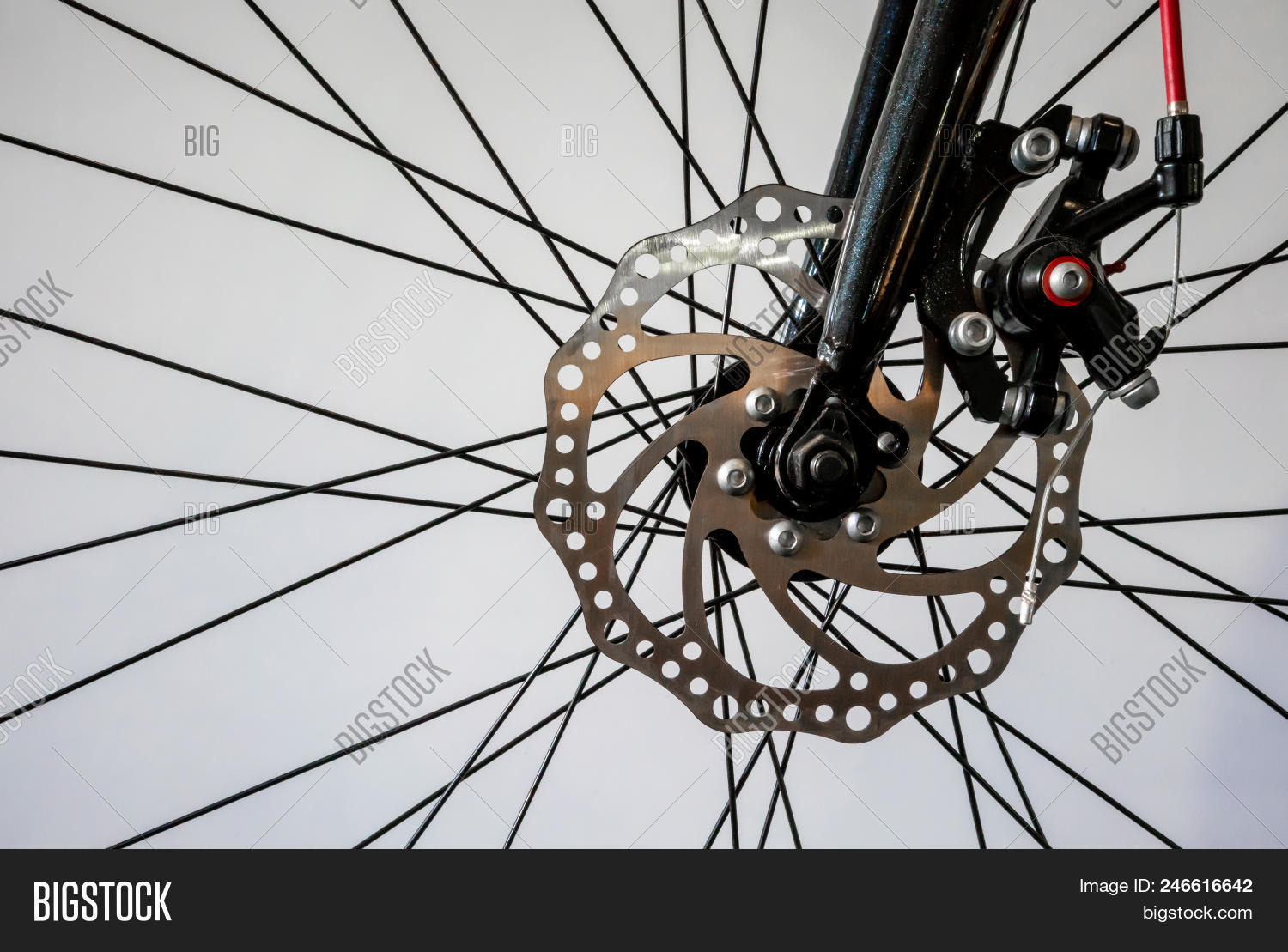 Bicycle Wheel Spoke Image & Photo (Free Trial) Bigstock