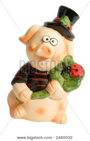 Happy Pig