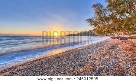 Beach In Greece With Tamarisk Tree (tamarix Smyrnensis) On Peloponnese Coast