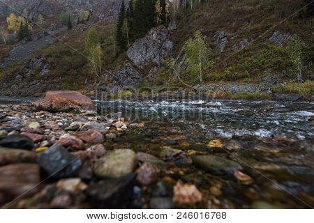 Beauty view on Kolyvan lake - a lake at the foot of the northern slope of the Kolyvan Ridge in the Altai Territory of Russia