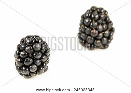 Fresh Blackberries Isolated On White Background With Copy Space
