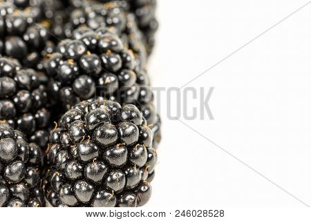 Fresh Blackberries Isolated On White Background With Copy Space