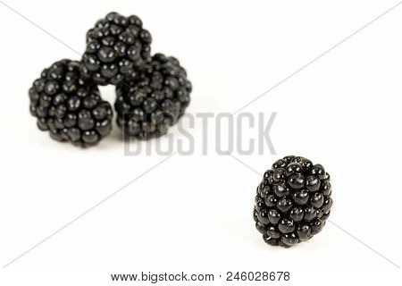 Fresh Blackberries Isolated On White Background With Copy Space