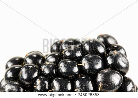 Fresh Blackberry Isolated On White Background With Copy Space