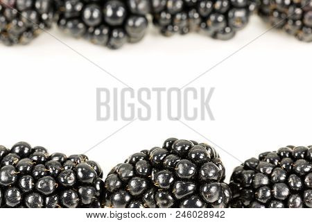 Fresh Blackberries Isolated On White Background With Copy Space