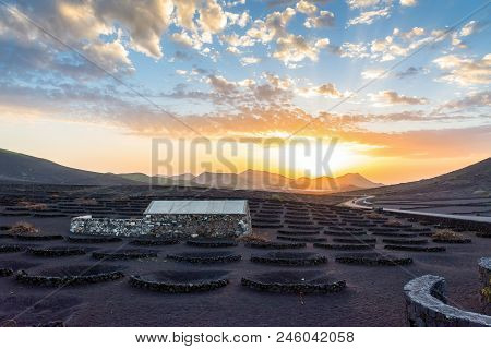 Lanzarote, Spain - December 27, 2016: Stunning Landscape With Sunset On Volcanic Vineyards In La Ger