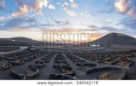Lanzarote, Spain - December 27, 2016: Stunning Landscape With Sunset On Volcanic Vineyards In La Ger