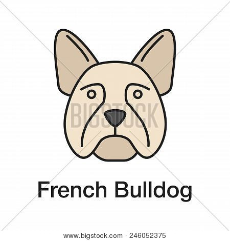 French Bulldog Color Icon. Frenchie. Utility Dog Breed. Isolated Vector Illustration