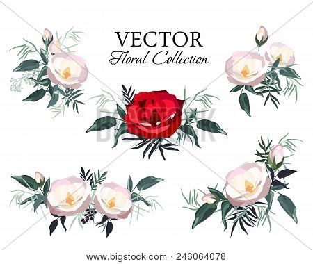 Set Of Vintage Floral Vector Bouquet Of Peonies And Garden Flowers, Botanical Natural Flowers Peonie