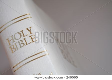 Bibel-Wirbelsäule