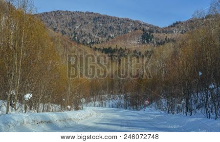 Winter Scenery Of Heilongjiang, China