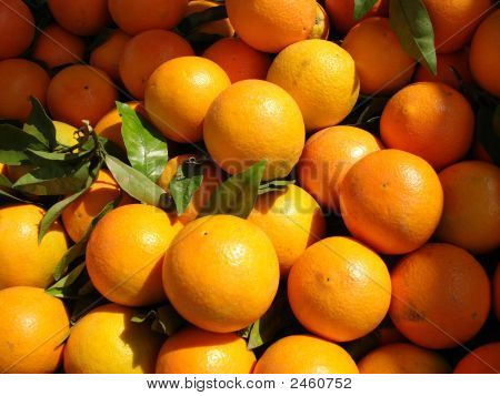 Naranjas frescas