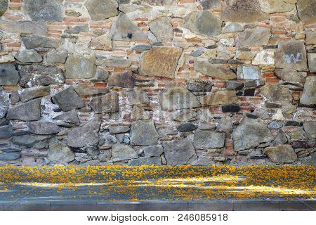 Stone Wall Day Time And Some Yellow Tipuana Tipu Petals On The Floor. No People And Empty Copy Space