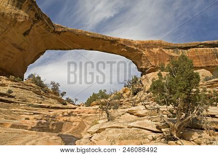 The Owachamu Bridge At Natural Bridges National Monument, Utah