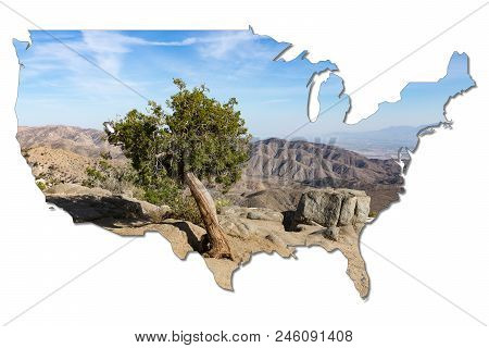 Single Tree Against San Andreas Fault In Shape Of The Usa