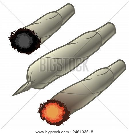 Hand-rolled Tobacco Cigarettes. Whole, Lit And Stub. Vector Illustration Isolated On White