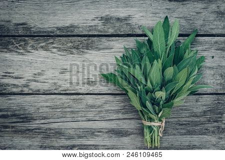 Salvia Officinalis. Sage Leaves On Old Wooden Table. Garden Sage. Rustic Wooden Box And Handmade Lac