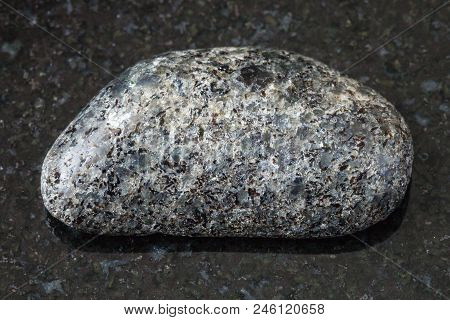 Macro Shooting Of Natural Rock Specimen - Tumbled Peridotite Stone With Phlogopite Mica On Black Gra
