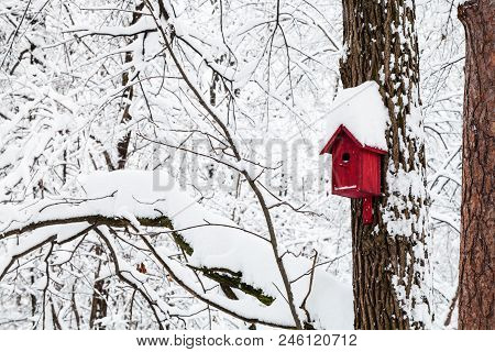 Red Bird House In Winter Forest Of Timiryazevskiy Park In Moscow City