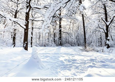 Snowman On Snow-covered Meadow In Oak Grove Of Timiryazevskiy Forest Park Of Moscow City In Sunny Wi