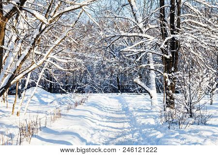 Snow-covered Footpath To Urban Timiryazevskiy Park In Moscow City In Sunny Winter Day