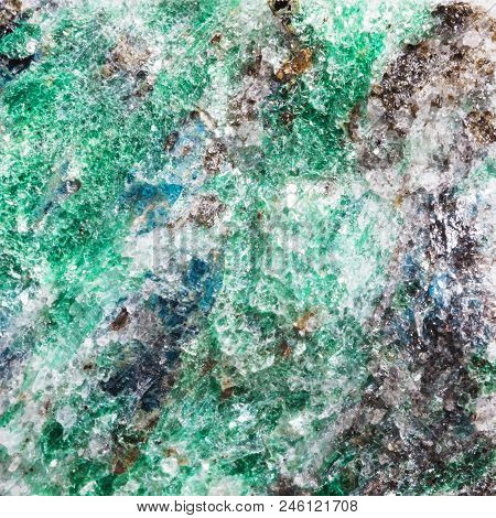 Macro Shooting Of Natural Texture Of Green Fuchsite Rock (chrome Mica) Witn Blue Kyanite Crystals Fr