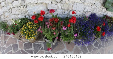 Many Flowers In Bedflower In The Garden In Spring