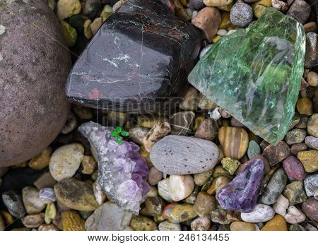 Fragments Of Colored Beautiful Stones, Polished With Water