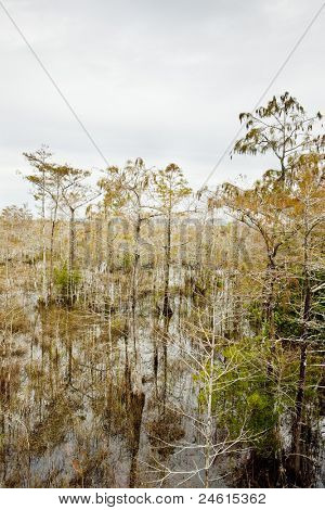Parque Nacional Everglades, Florida, Estados Unidos da América