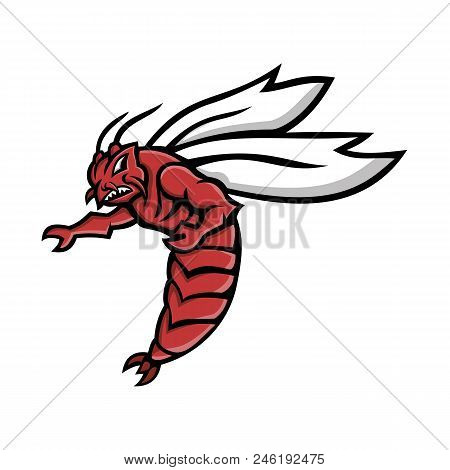 Mascot Icon Illustration Of A Florida Woods Cockroach, Florida Skunk Roach, Florida Stinkroach, Skun