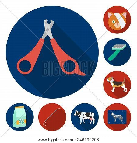 Veterinary Clinic Flat Icons In Set Collection For Design. Treatment Of A Pet Vector Symbol Stock  I
