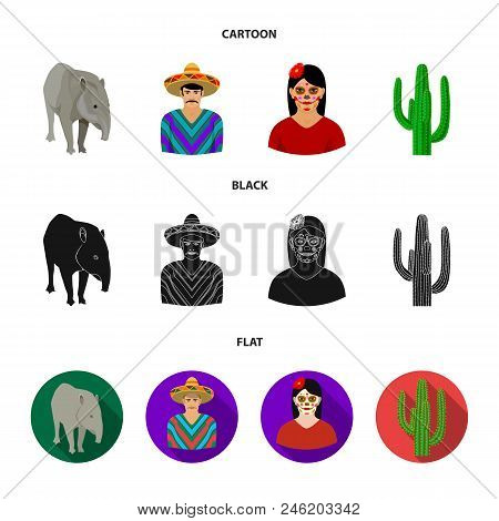 Tapir Mexican Animal, A Mexican In National Clothes In A Poncho, A Woman With A Flower, A Cactus. Me