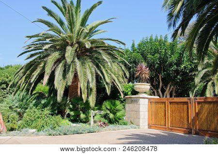 House With Green Lawn Manicured Frontyard Garden In Suburban Residential Neighborhood On A Sunny Day