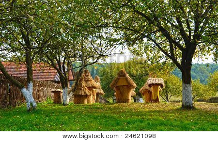 древние beehives.jpg