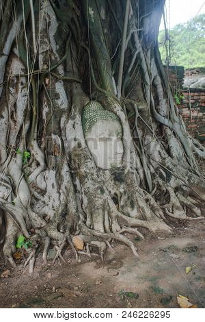 Buddha Head In The Tree, Ayuthaya Thailand