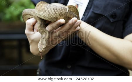 Python dla dzieci